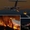 NITROFIREX - Winner Small Image